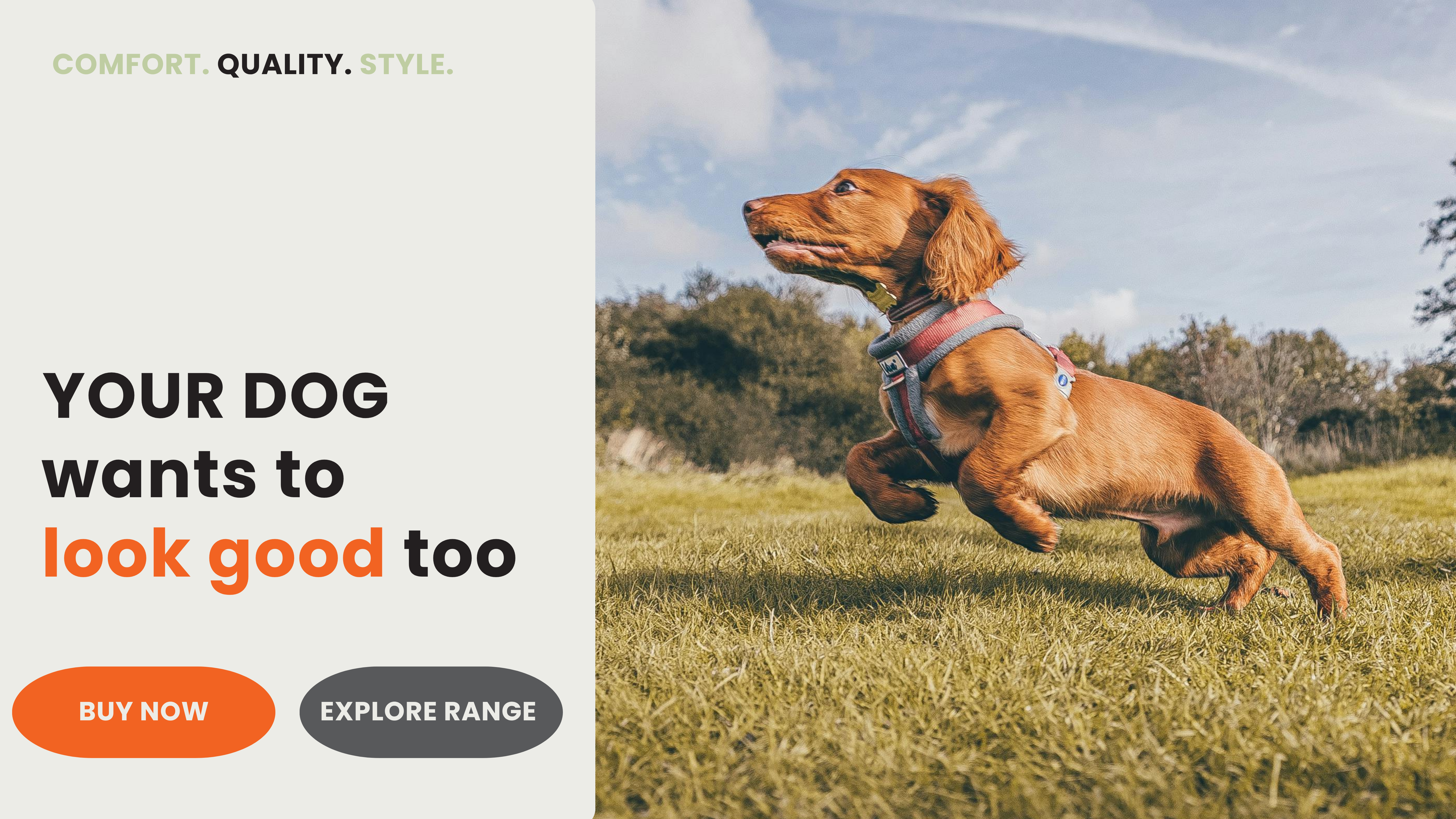 Web Banner